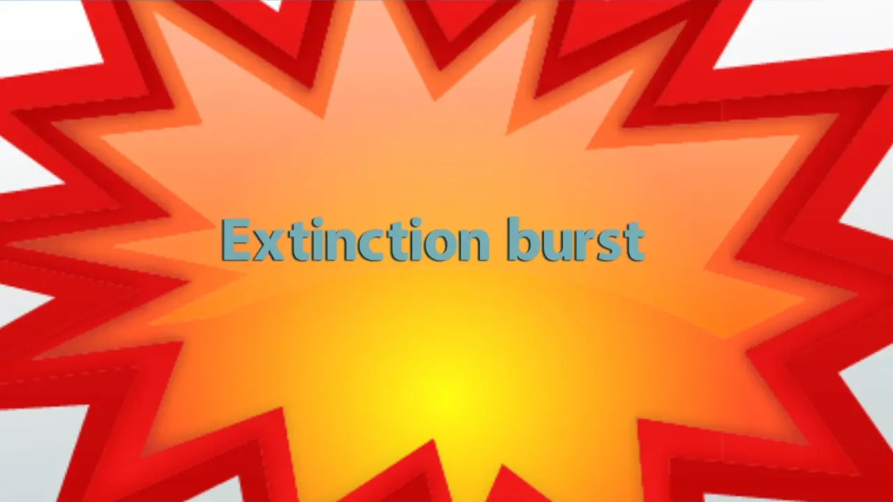 Extinction Burst Phenomenon